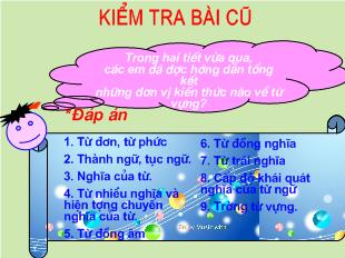 Bài giảng Tổng kết từ vựng