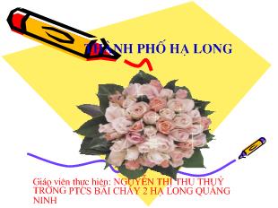 Bài giảng Địa lí -Thương mại và du lịch