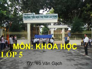 Bài giảng Khoa học Bài 19: Phòng tránh tai nạn giao thông đường bộ