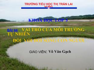 Bài giảng Khoa học Bài 64: vai trò của môi trường tự nhiên đối với đời sống con người