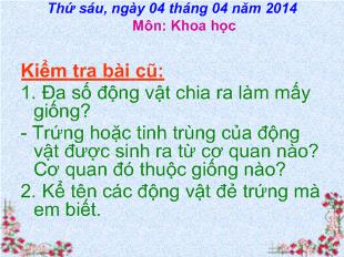 Bài giảng Khoa học- Sự sinh sản của côn trùng