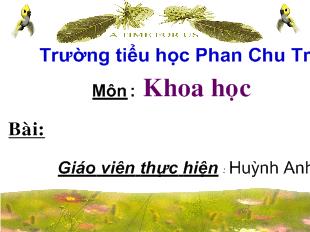 Bài giảng Khoa học- Tiết kiệm nước