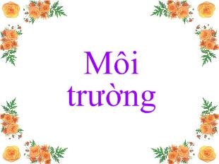 Bài giảng Môi trường