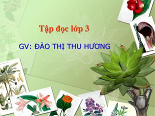 Bài giảng Tập đọc 3-  một mái nhà chung