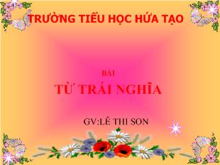 Bài giảng Tiếng Việt- Từ trái nghĩa