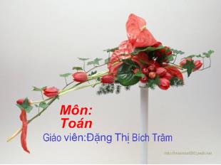 Bài giảng Toán- Luyện tập