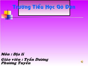 Bài giảng Địa lý bài 21: Thành phố Hồ Chí Minh