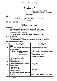 Giáo án Lớp 1 tuần 16- Tuần 20