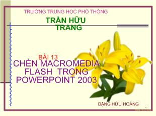 Bài giảng Chèn macromedia flash trong powerpoint 2003