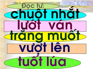 Bài giảng Tiếng Việt lớp 1 - Học vần - Bài 75: Ôn tập