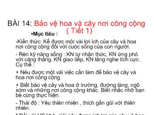 Đạo đức - Bài 14: Bảo vệ hoa và cây nơi công cộng (tiết 1)