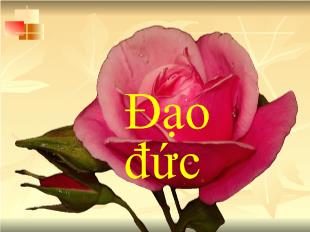 Đạo đức lớp 1 -  Đi bộ đúng quy định