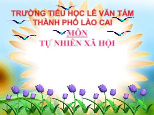 Đạo đức lớp 1 - Nghiêm trang khi chào cờ (Tiết 1)