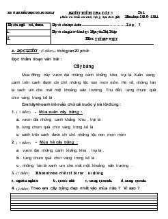 Phiếu kiểm tra lớp 3 (kiểm tra khảo sát chấy lượng học sinh giỏi)