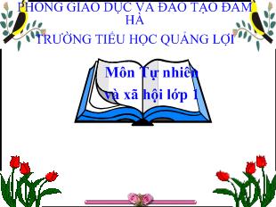 Tự nhiên và xã hội lớp 1 - Bài 28: Con muỗi