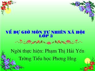 Tự nhiên xã hội - Thực vật