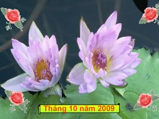 Bài giảng Môn học vần bài : eo - ao_ Trần Thị Thu Thảo