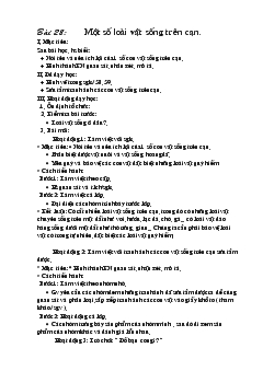 Giáo án Bài 28: Một số loài vật sống trên cạn