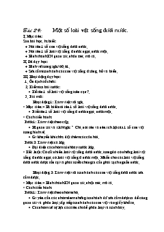 Giáo án Bài 29: Một số loài vật sống dưới nước