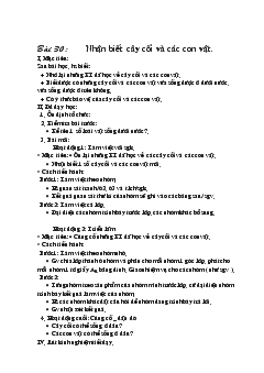 Giáo án Bài 30: Nhận biết cây cối và các con vật