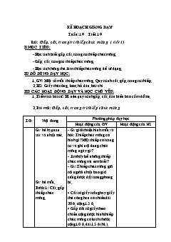 Giáo án Thủ công tuần 19