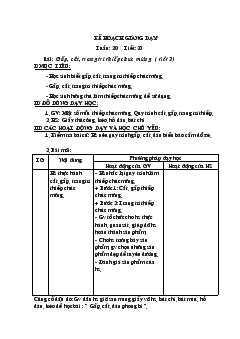 Giáo án Thủ công tuần 20