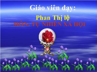 Khoa học và tự nhiên - Bài 13