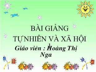 Tự nhiên và xã hội - Ăn uống hàng ngày