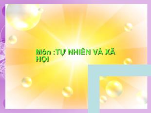 Tự nhiên và xã hội - Bài 13. Công việc ở nhà