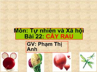 Tự nhiên và xã hội - Bài 22: Cây rau