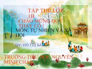 Tự nhiên và xã hội - Bài 24: Cây gỗ