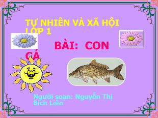 Tự nhiên và xã hội - Bài 25: Con cá