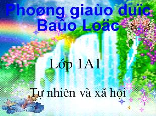 Tự nhiên và xã hội - Bài 26: Con gà