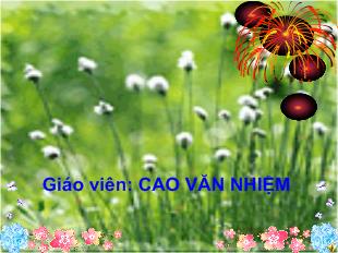 Tự nhiên và xã hội - Bài 26: Con gà