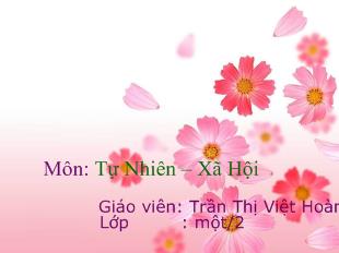 Tự nhiên xã hội - Bài 30: Trời nắng, trời mưa