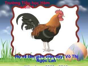 Tự nhiên xã hội - Con gà