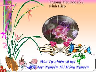 Tự nhiên xã hội: Con mèo