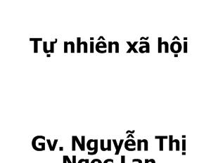 Tự nhiên xã hội - Con muỗi