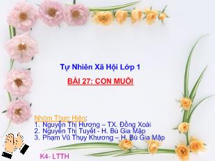 Tự nhiên xã hội - Lớp 1 - Bài 27: Con muỗi