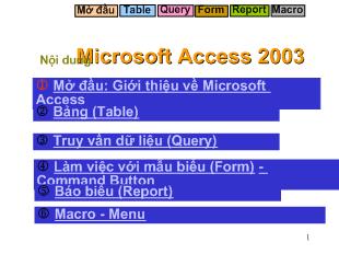 Bài giảng Microsoft Access 2003