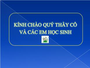 Bài giảng Toán: phép trừ trong phạm vi 6_ Trần Thị Hoàng Dung