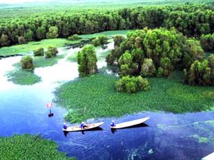 Đại lý - Bài 11: Lâm nghiệp và thuỷ sản