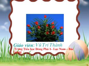 Đạo đức - Tôn trọng khách nước ngoài (tiết 2)