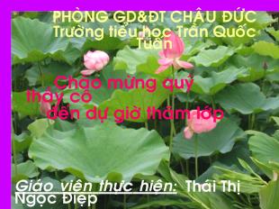 Tập đọc: Tặng cháu