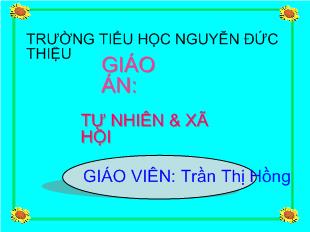 Tự nhiên và xã hội - An toàn khi ở nhà