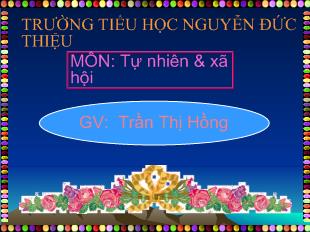 Tự nhiên và xã hội - Bài 11: Gia đình