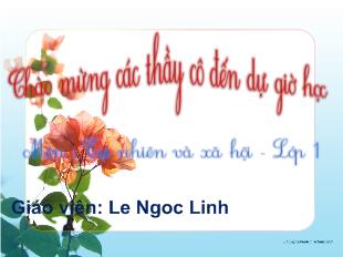 Tự nhiên và xã hội - Trời nóng, trời rét