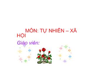 Tự nhiên xã hội - Bài: Công việc ở nhà