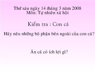 Tự nhiên xã hội - Con cá