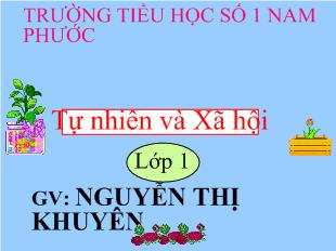 Tư nhiên xã hội - Vệ sinh thân thể